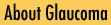 About Glaucoma